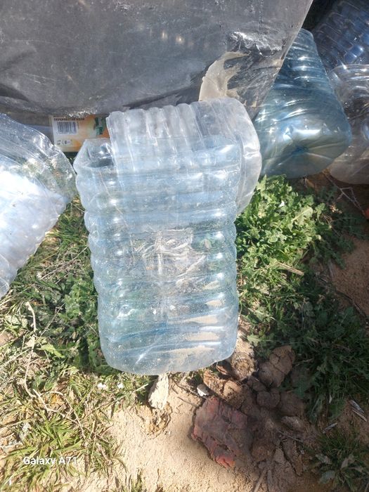 Баклашкалар басы жок