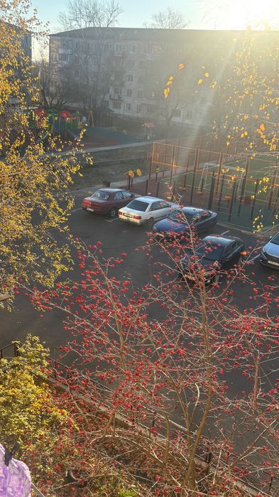 3ком квартира военный инстут