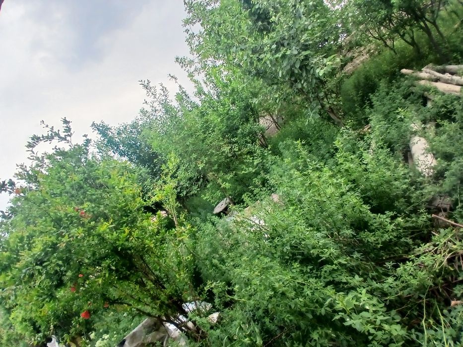 Ховли  йер сотилади