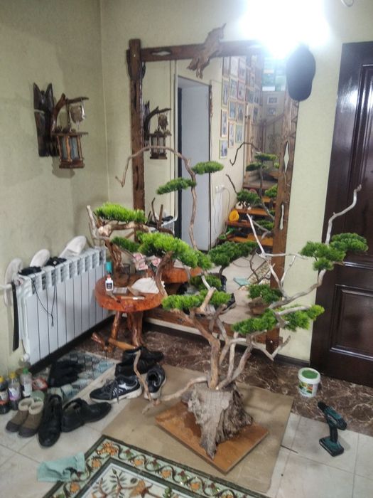 Бонсай ручная работа