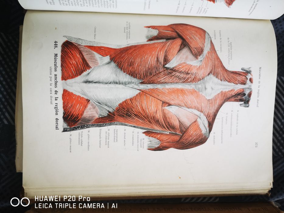 Учебник Esperantologio, физиология и атласи по анатомия на испански