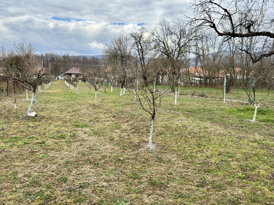 De vânzare casă Stănești-Alexeni casa+teren 6150mp