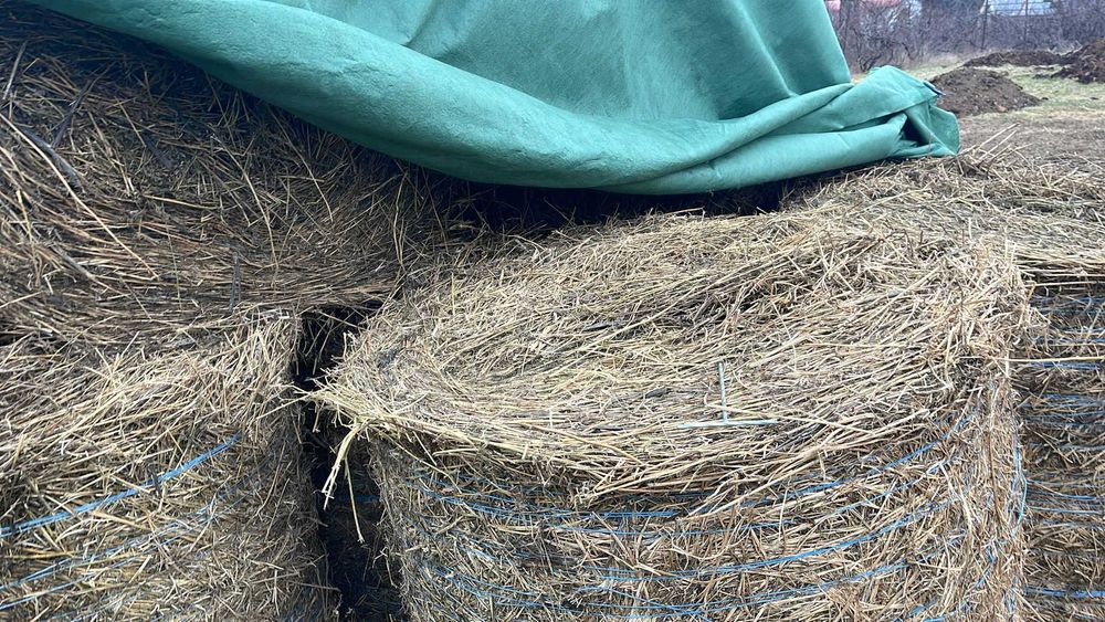 Baloți excelenti de fan si semifan lucerna în agric. eco. in Botosani