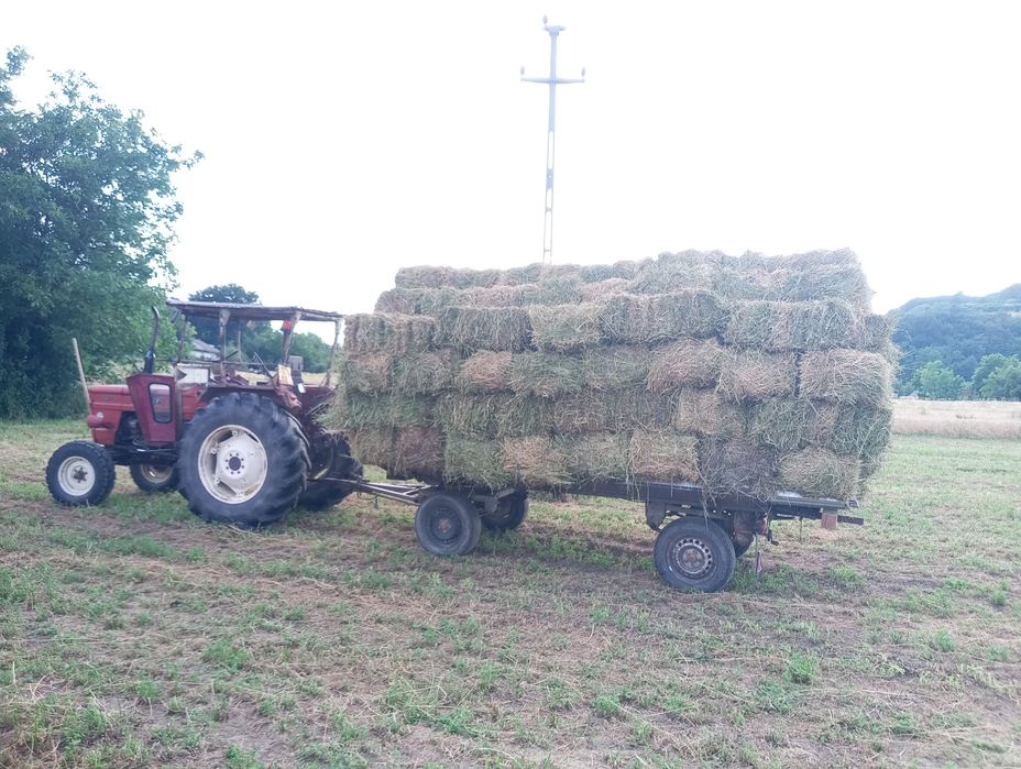 Baloți lucerna și paie