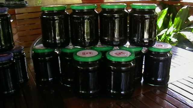 Compoturi de cireşe/vişine/coacăze negre