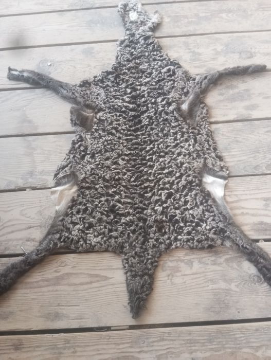 Антика терилар сотилади