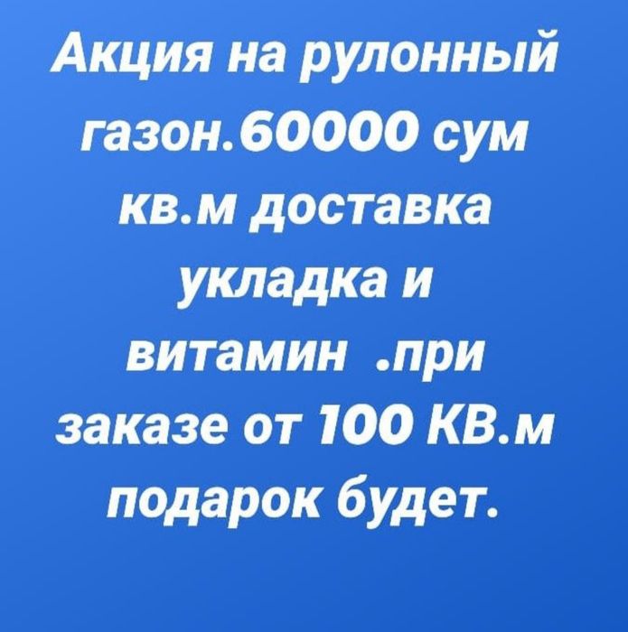 Акция на рулонный газон.