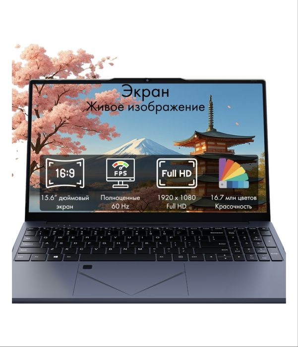 Ноутбук Mizone Pascal