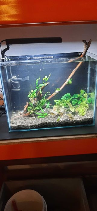 Acvariu  23 l si 112 l