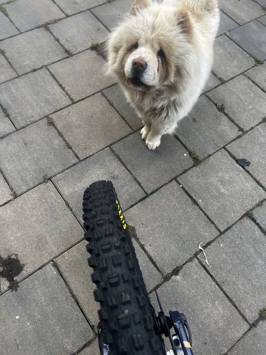 Bicicleta rockrider st540 marimea m