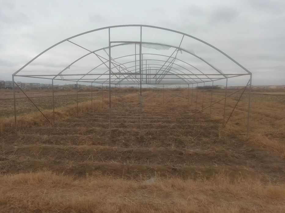 Тайёр парник сотилади