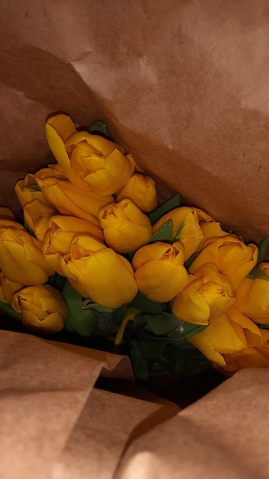 Тюлпаны свежие с луковицами оптом 24/7