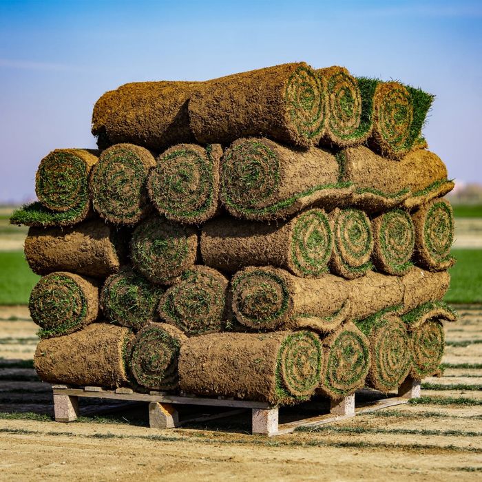Gazon  Natural    Sisteme  irigatii