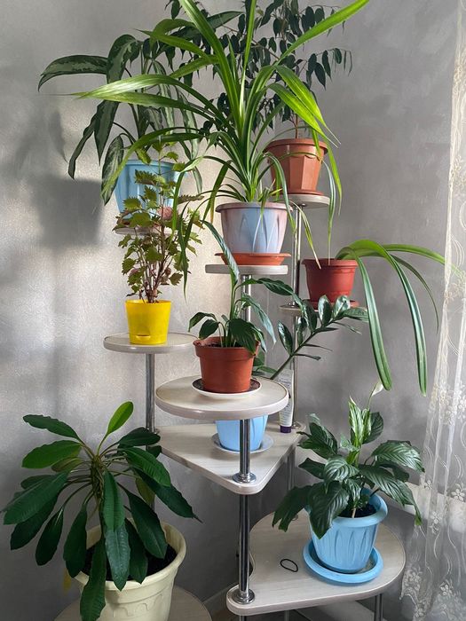 Продам подставку для цветов