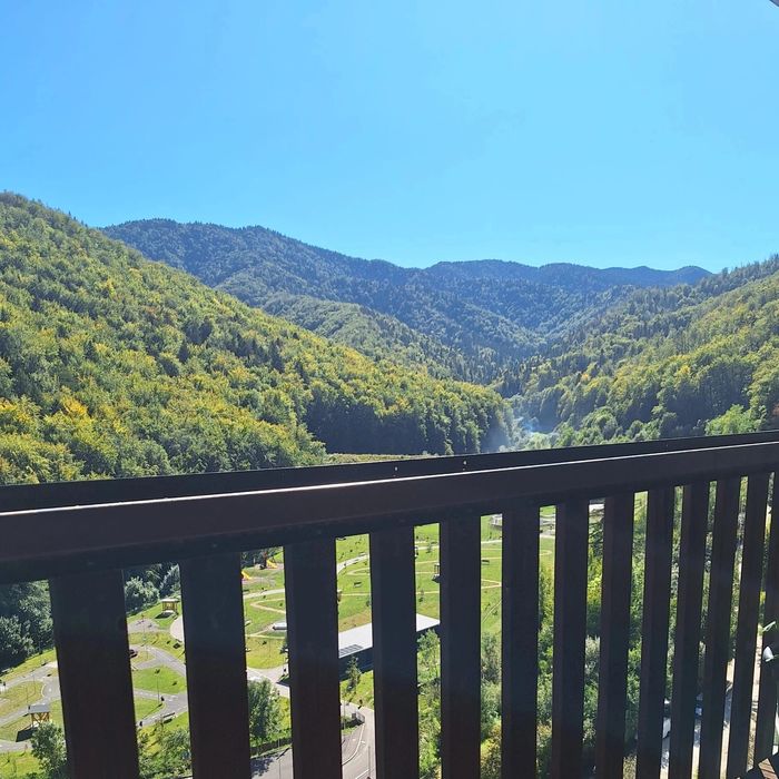 Apartament 3 camere Tampa Gardens