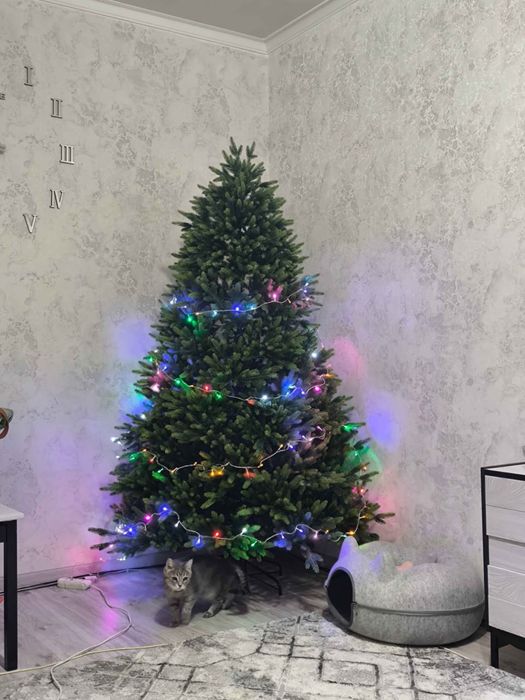 Yangi yil premium archasi