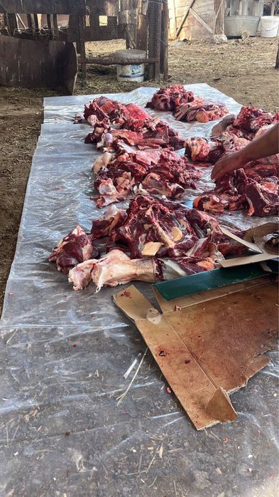 Ет, Мясо, конина, жылқы еті, соғым, согым, баспақ еті, говядина