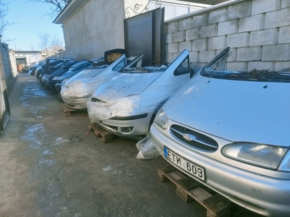 Ноускат Шаран Галакси