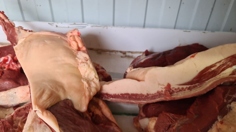 Соғым сирақтап,табақтап