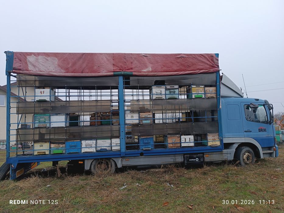 Albine , camion apicol mercedes,cutii stupi ,inventar apicol,caturi,