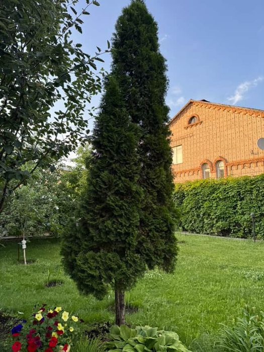 Продам 2 дома на одном участке