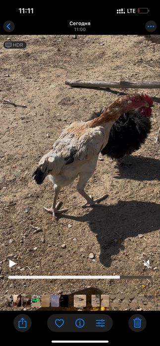 3 дакан мекен сатылады.