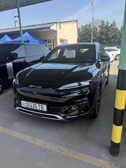 byd champion 2024 honr