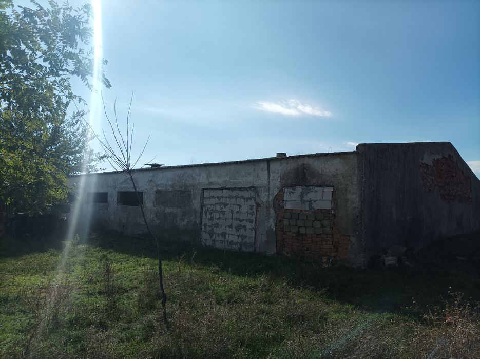 Vând  în  Sacele
