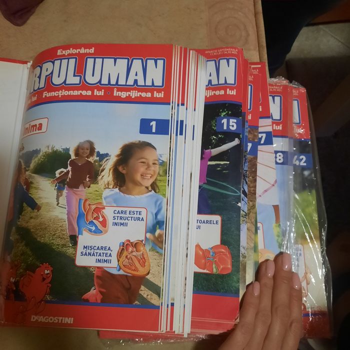 Colecția Corpul Uman