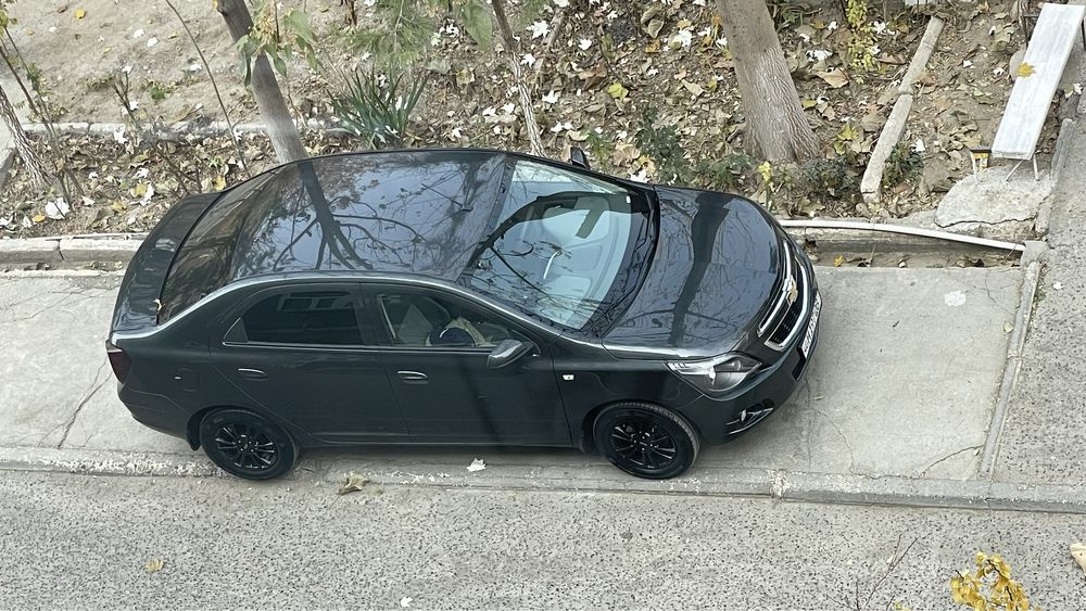 COBALT 2024/25 mokriy Midnight