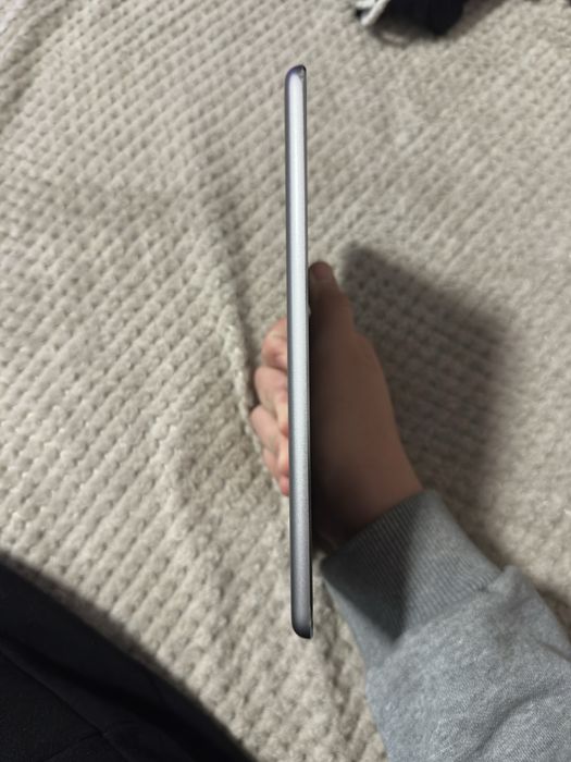 iPad mini 2 (2013)