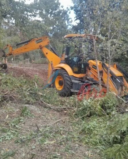 Почистване на дворове /дворни места/, извозване на храсти и отпадъци.