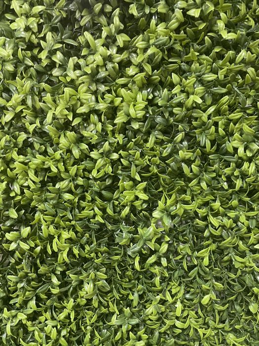 Изкуствена трева 60х40см пано