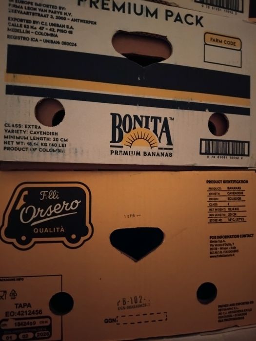 Kashoni ot Banani,кашони от банани