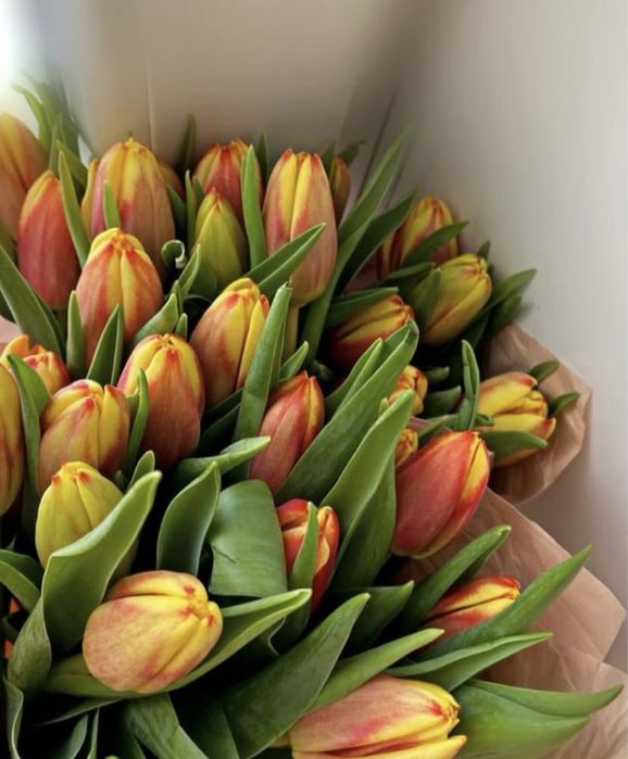 Тюльпаны\Оптом\Алматы