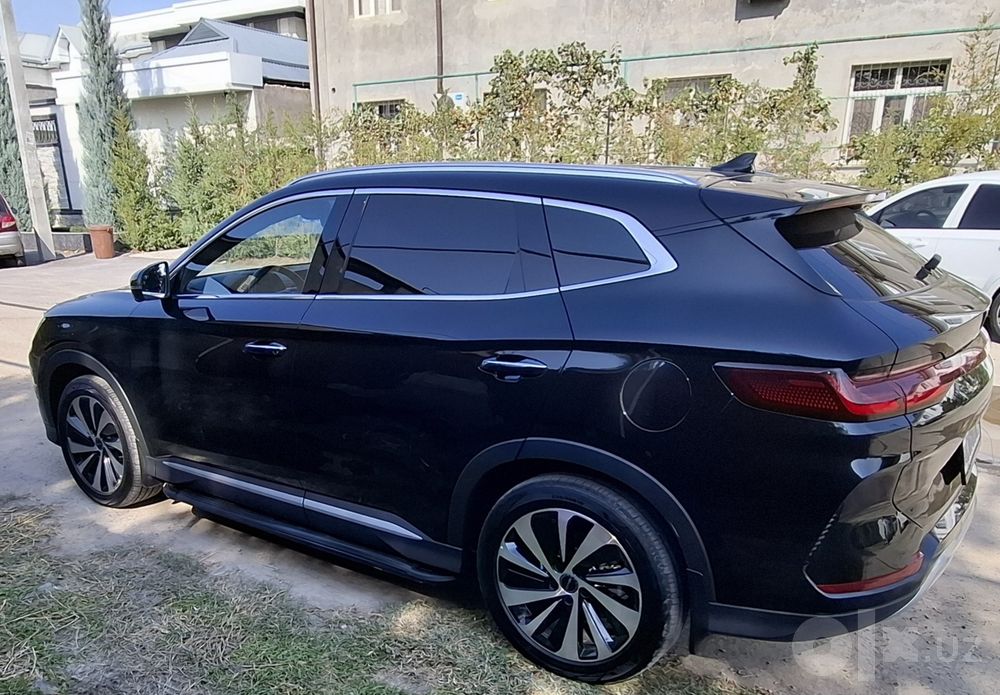 BYD Song Plus Chimpion