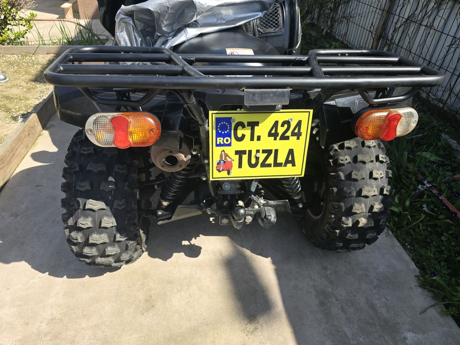 Kawasaki Brute Force