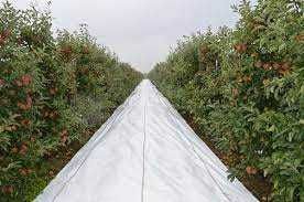 Agrotextil (ALB) pt stimularea cresterii PRODUS PREMIUM