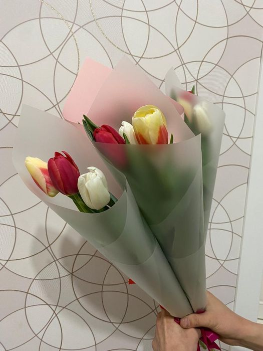 Тюльпан, тюльпаны