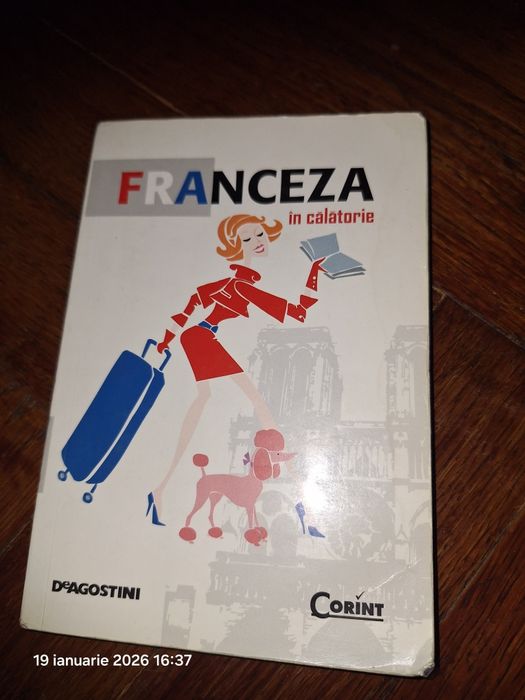 Dictionar roman -francez