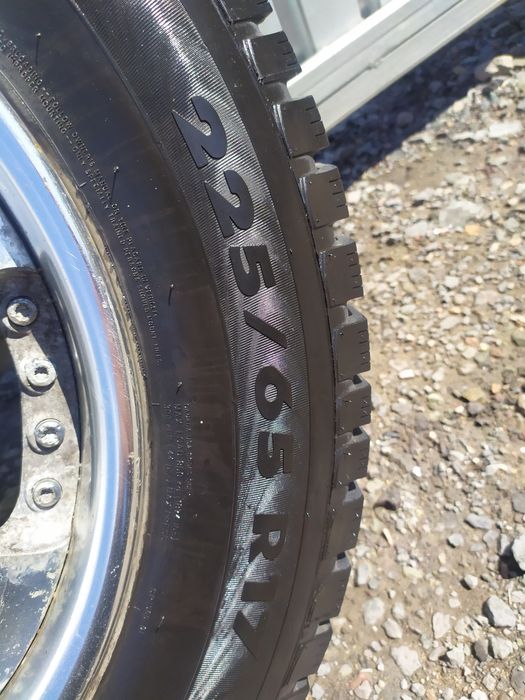 Шкалеса в заборе