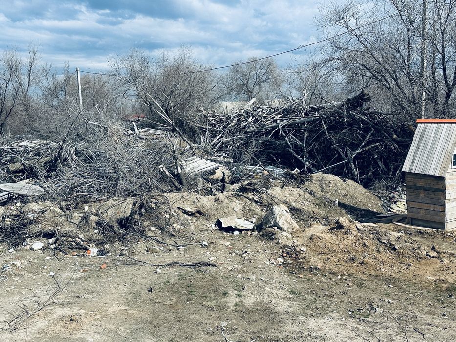 дерево сухой на