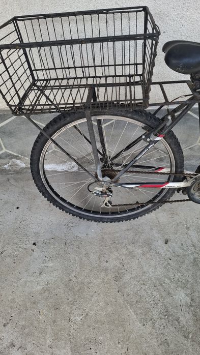 Bicicleta adulți