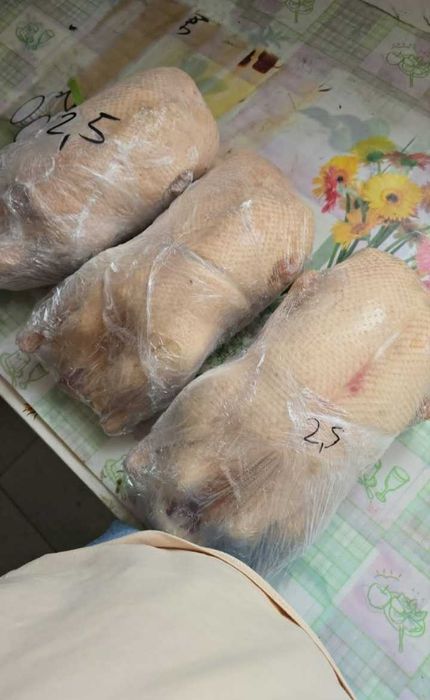 Мясо тушки домашних уток и индейки.