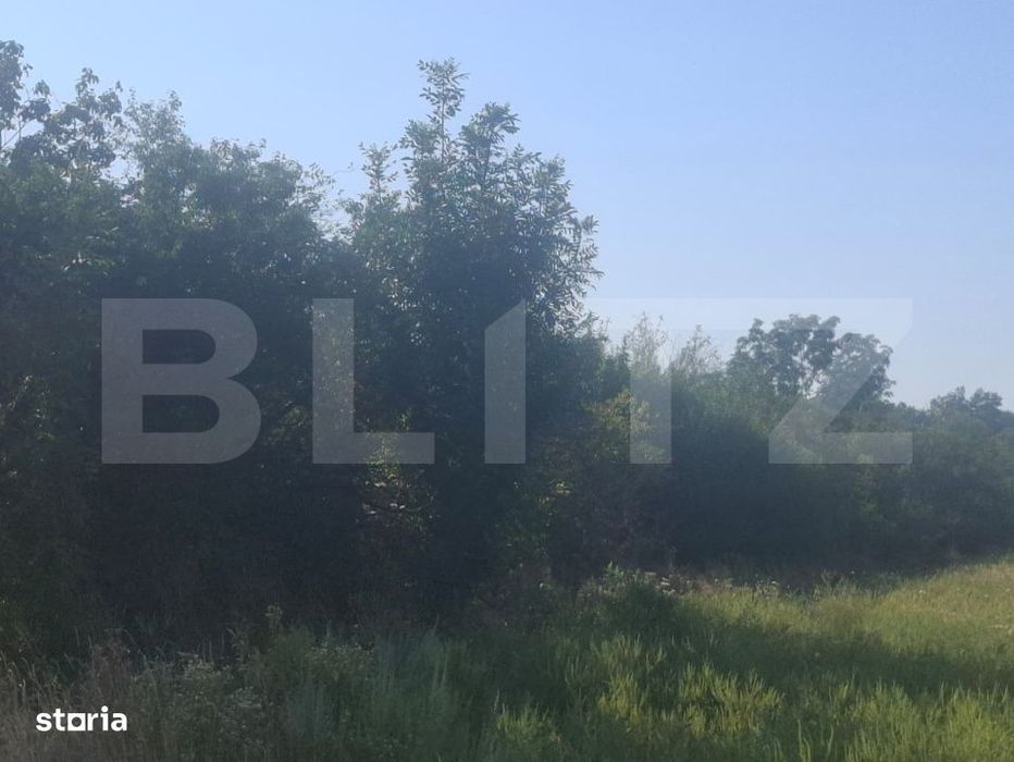 Teren extravilan de vaznare, 5000 mp, zona Matasaru