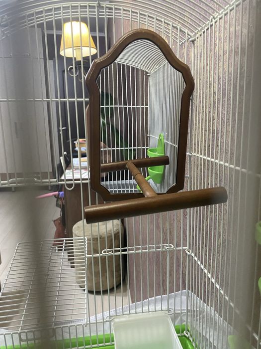 Продам большое зеркало для попугаев