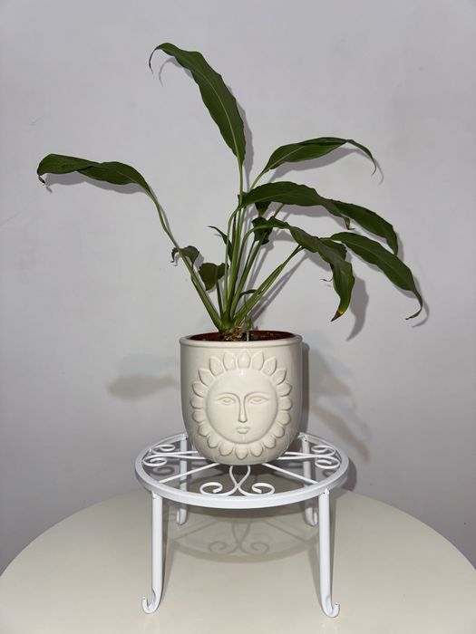 Set 6 suporturi metalice pentru ghivece / plante, albe (NOI, în cutie)