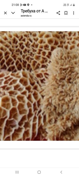 Требуха для собак говядины ия