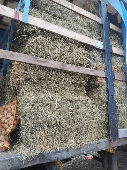 Baloti  lucerna, baloti dr fan-Craiova