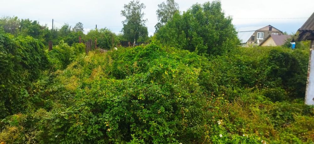 Продам дачу 8 соток, Текстильщик 1.